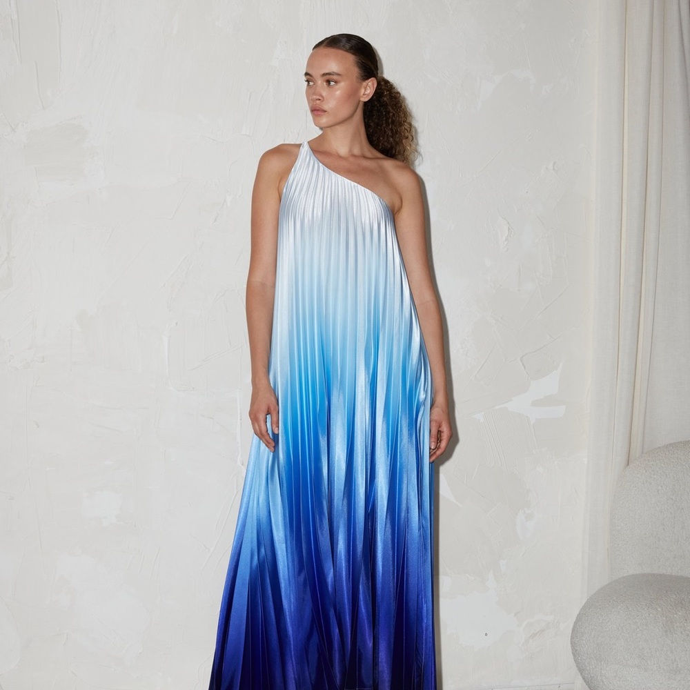 NWT Delfi Collective Erica One Shoulder Pleated Maxi Dress
